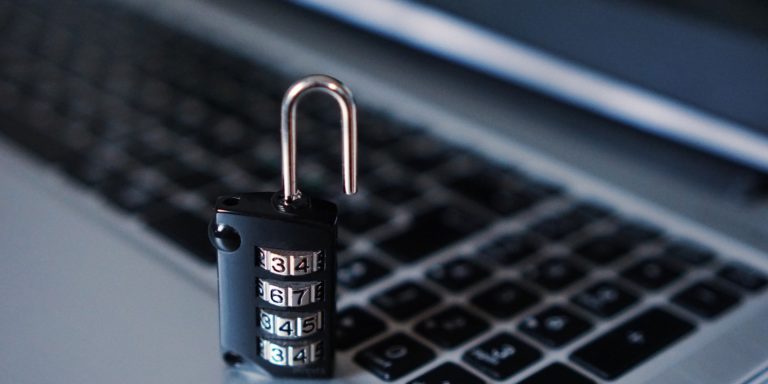 Internet e cyber security: sistemi di sicurezza per il wer