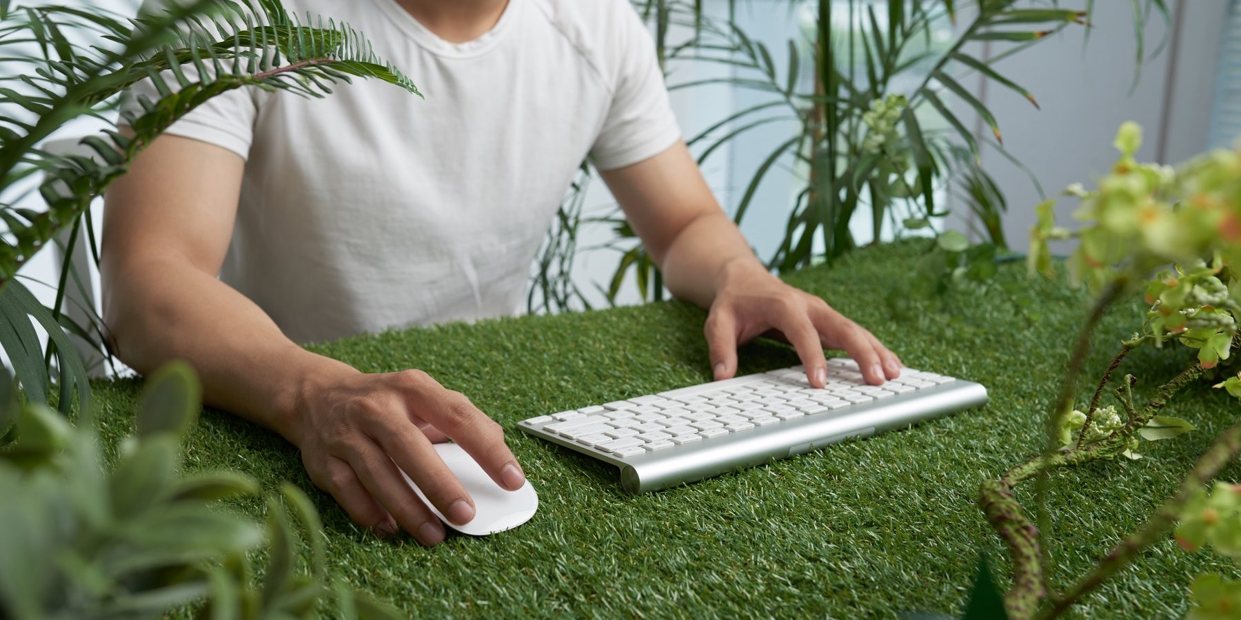 Immagine di dettaglio delle mani di un operatore che lavora su tastiera e mouse appoggiati su un tappeto erboso